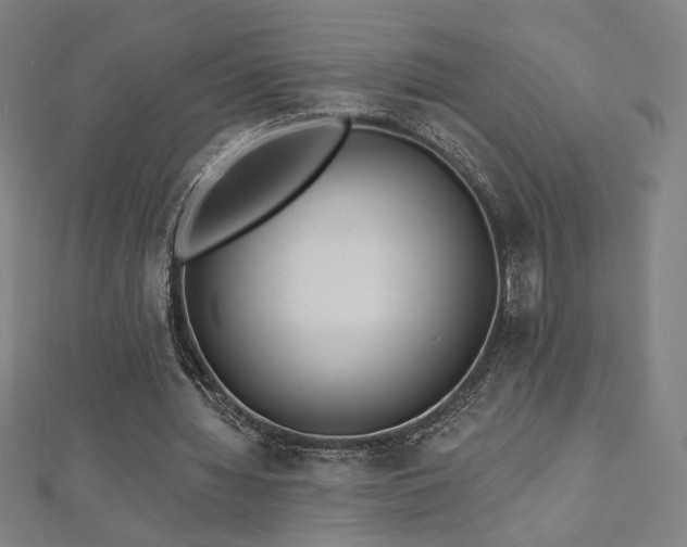 X0000112520436200908171358