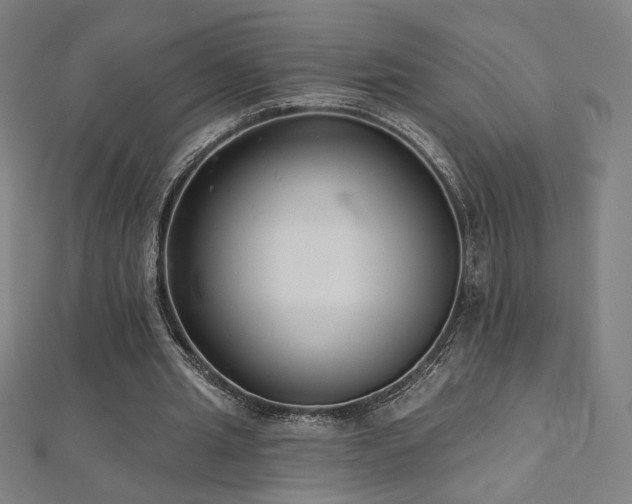 X0000112520437200908171358