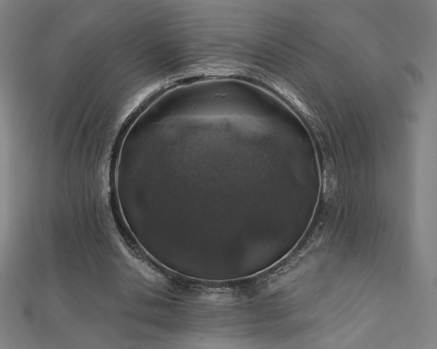 X0000112520438200908171358