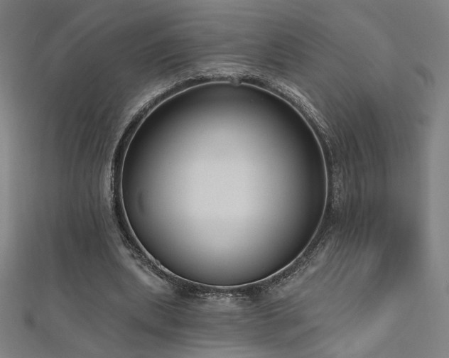 X0000112520439200908171358