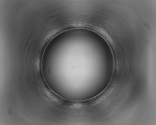 X0000112520441200908171358