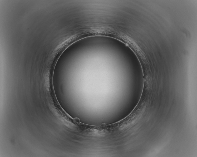 X0000112520442200908171358
