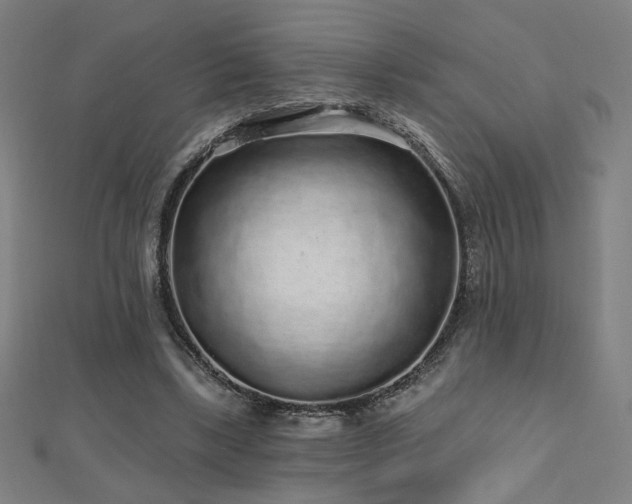 X0000112520443200908171358