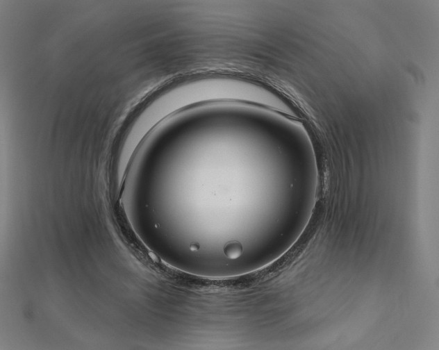 X0000112520444200908171358