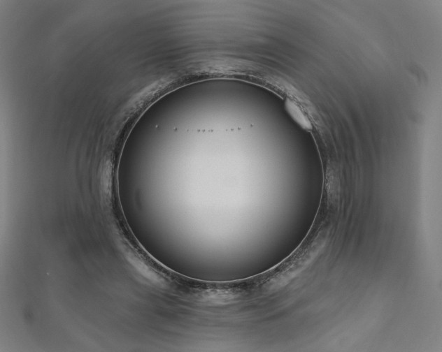 X0000112520445200908171358