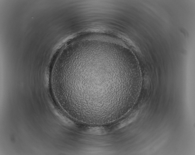 X0000112520446200908171358