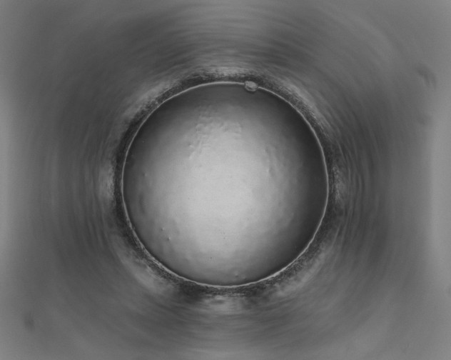 X0000112520447200908171358