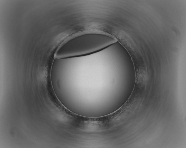 X0000112520448200908171358