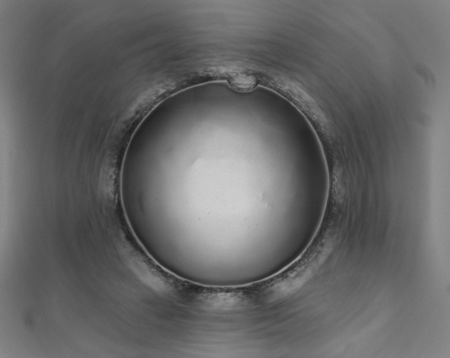 X0000112520449200908171358