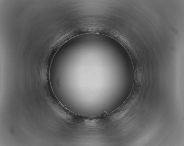 X0000112520450200908171358