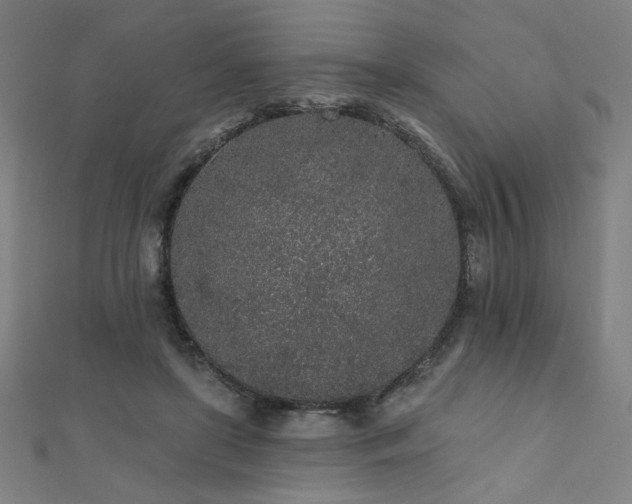 X0000112520451200908171358