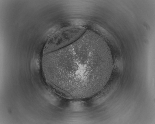 X0000112520452200908171358