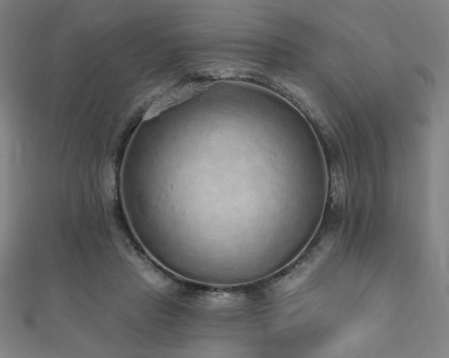 X0000112520453200908171358