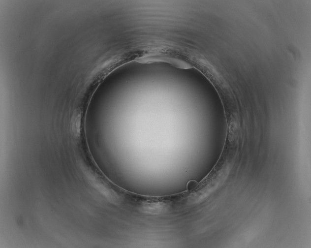 X0000112520454200908171358