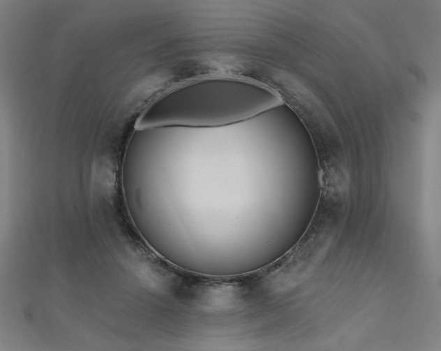 X0000112520456200908171358