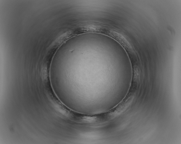 X0000112520457200908171358