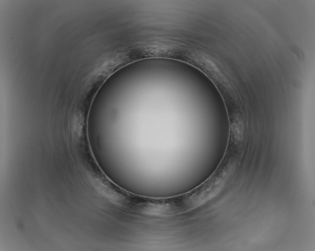 X0000112520458200908171358