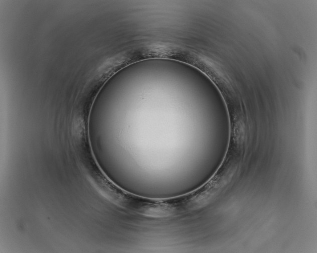 X0000112520459200908171358
