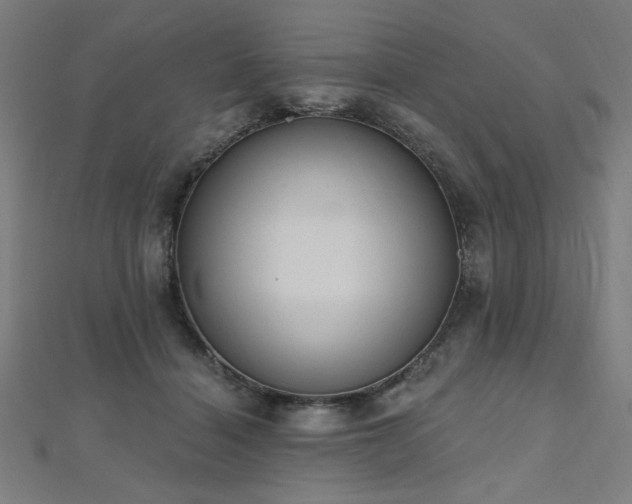 X0000112520460200908171358