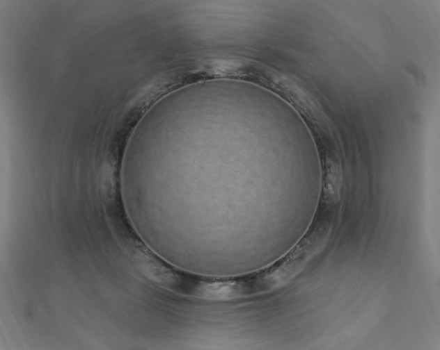 X0000112520461200908171358