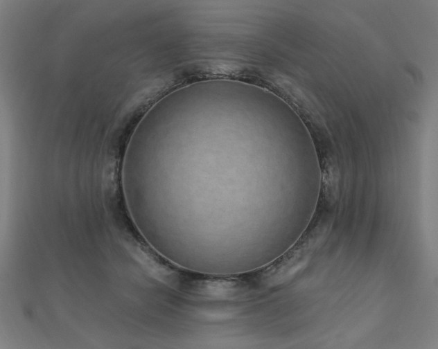 X0000112520462200908171358