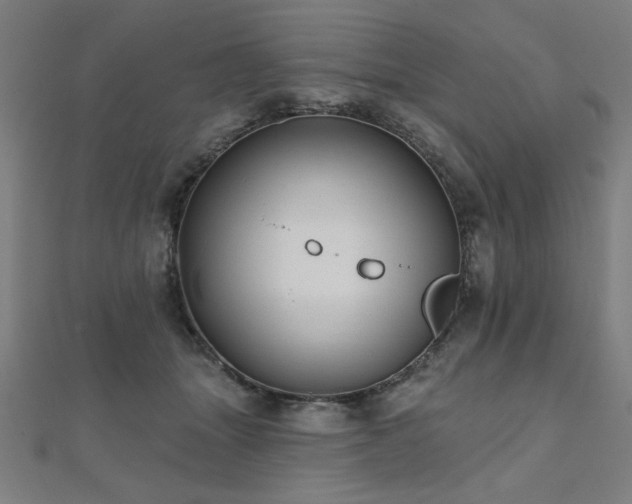 X0000112520463200908171358