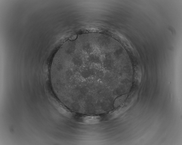 X0000112520465200908171358