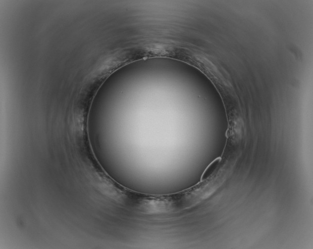 X0000112520466200908171358