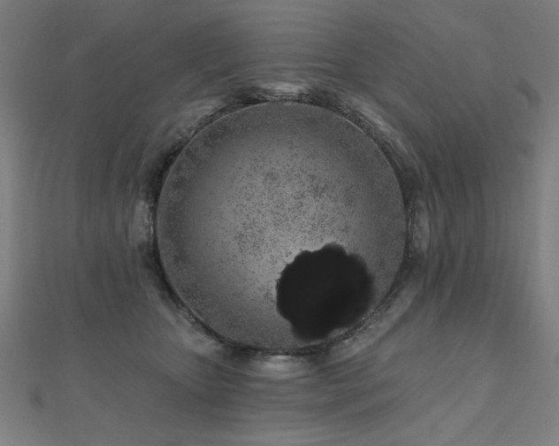 X0000112520467200908171358
