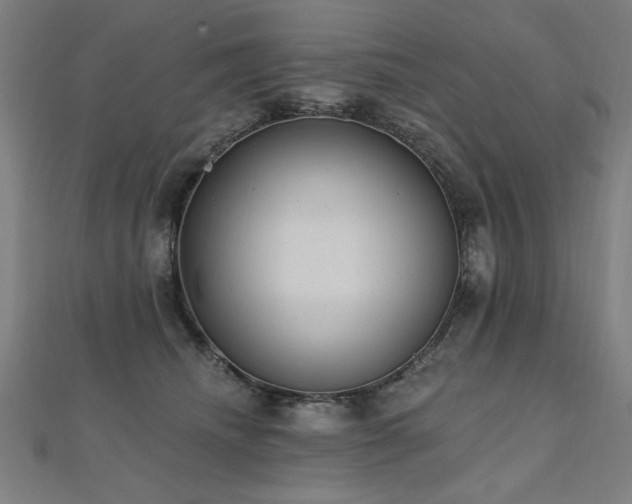 X0000112520468200908171358