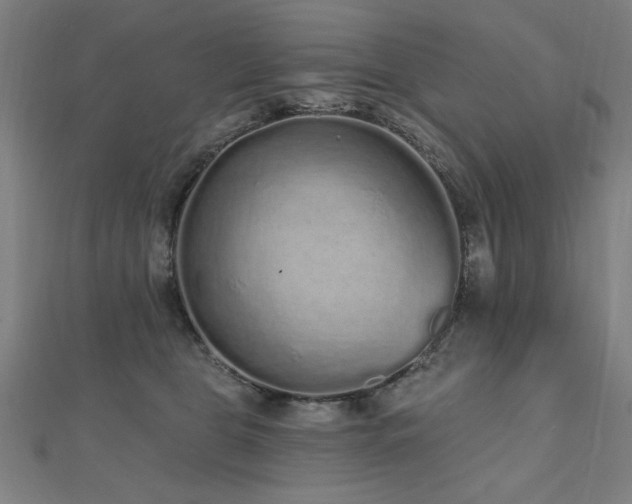 X0000112520469200908171358