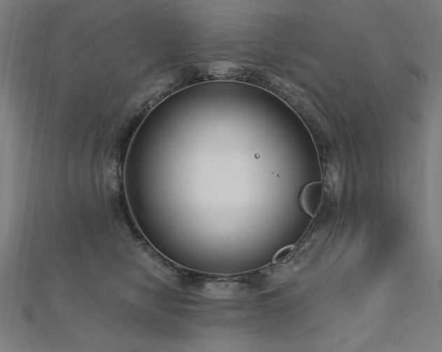 X0000112520470200908171358