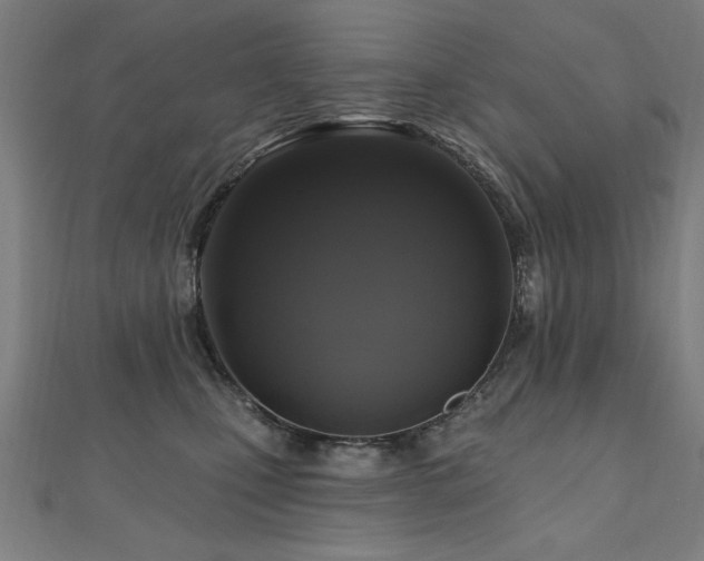 X0000112520471200908171358