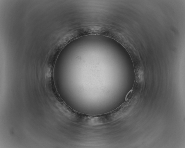 X0000112520472200908171358