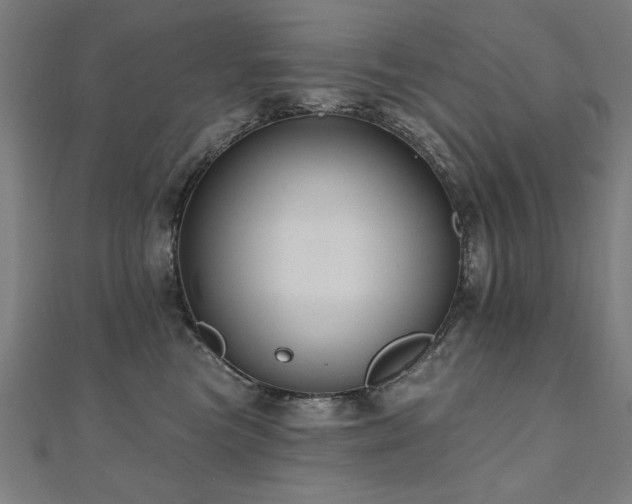 X0000112520473200908171358