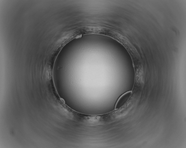 X0000112520474200908171358