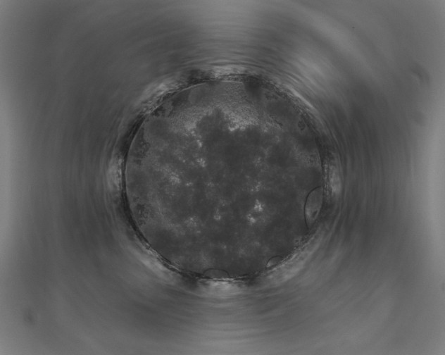 X0000112520475200908171358