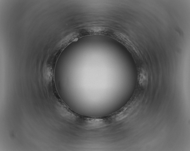 X0000112520476200908171358
