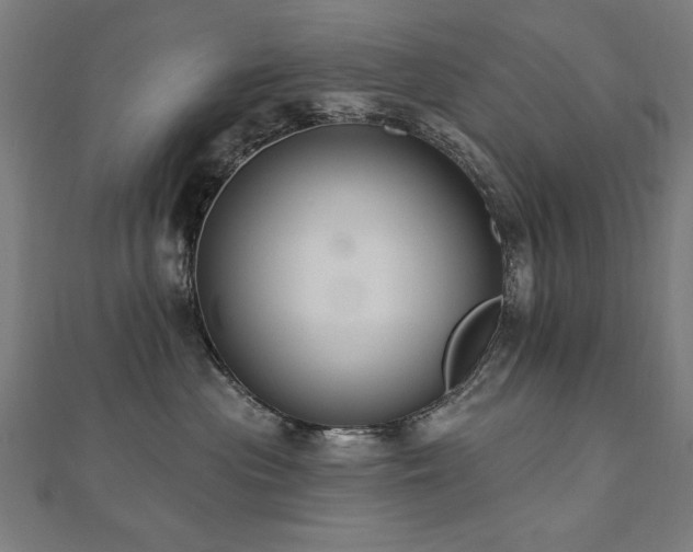 X0000112520477200908171358