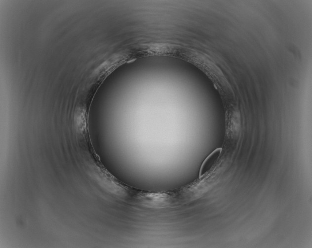 X0000112520478200908171358