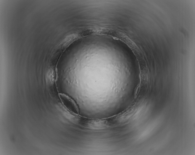 X0000112520479200908171358
