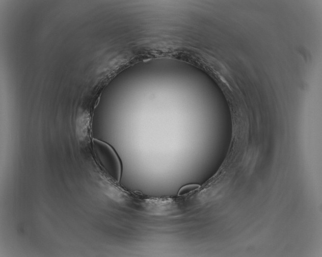 X0000112520480200908171358