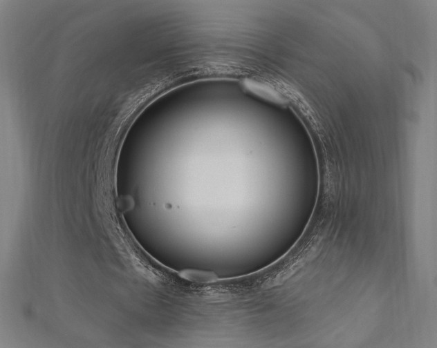 X0000112520481200908171358
