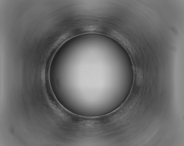 X0000112520482200908171358
