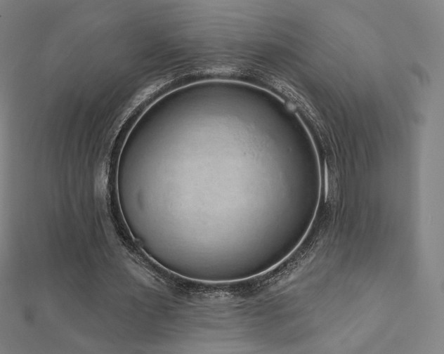 X0000112520483200908171358