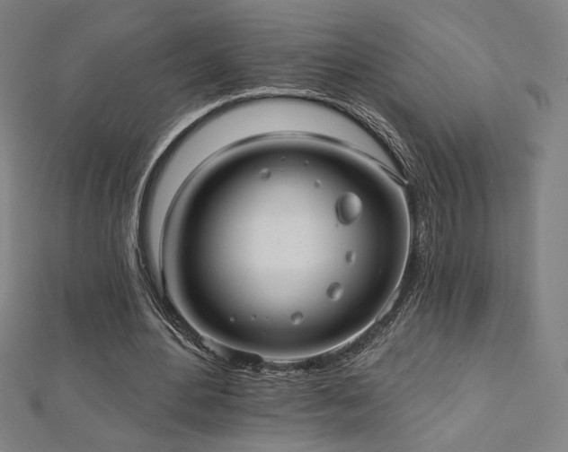 X0000112520484200908171358