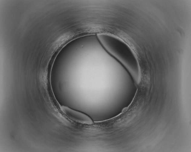 X0000112520485200908171358