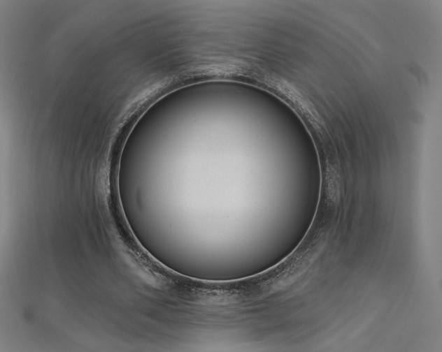 X0000112520486200908171358
