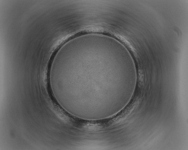 X0000112520487200908171358