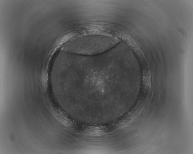 X0000112520488200908171358